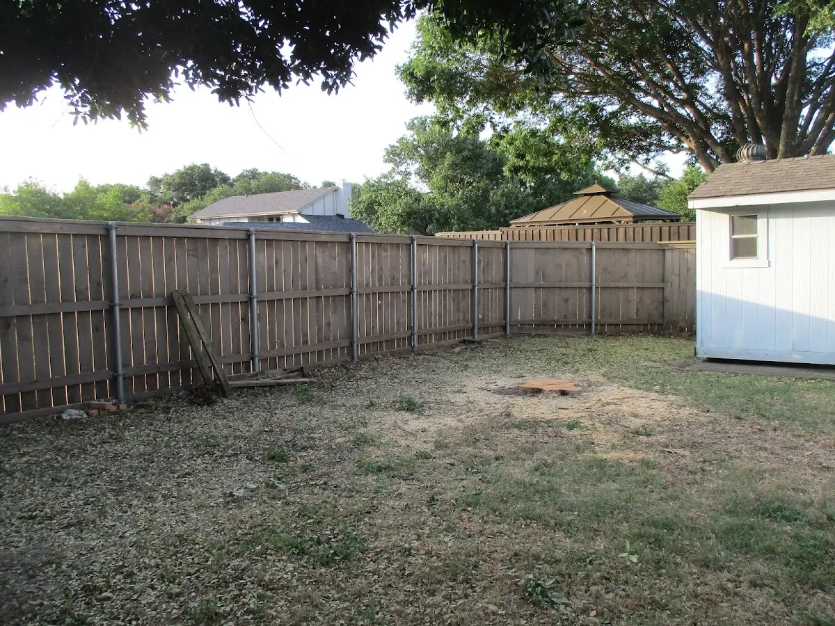 Cleared yard after professional tree removal in Susanville